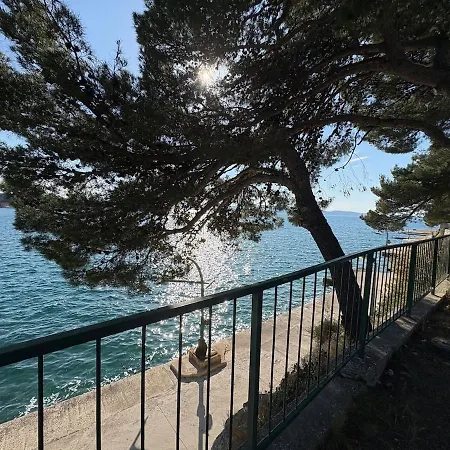 Seaside Serenity *